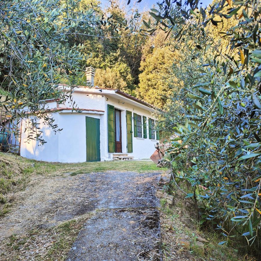 Massaciuccoli Romana 외부 사진