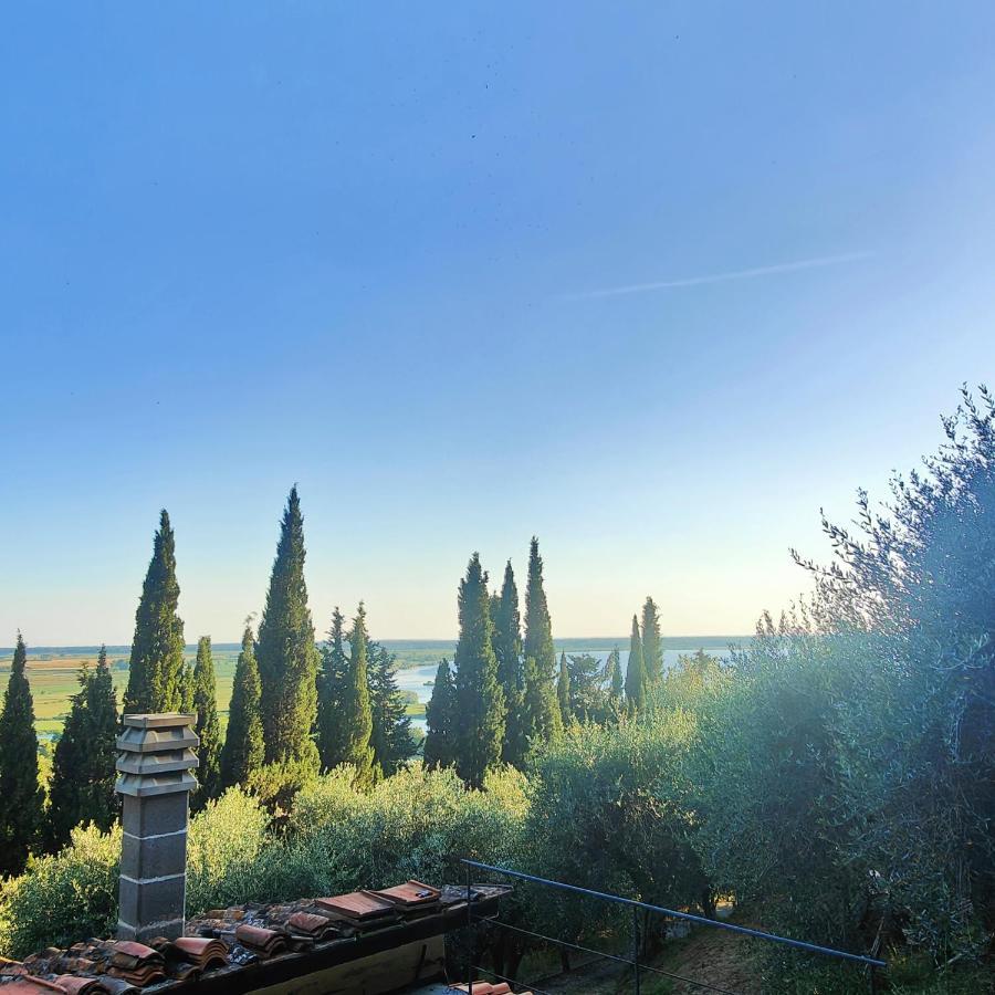 Massaciuccoli Romana 외부 사진