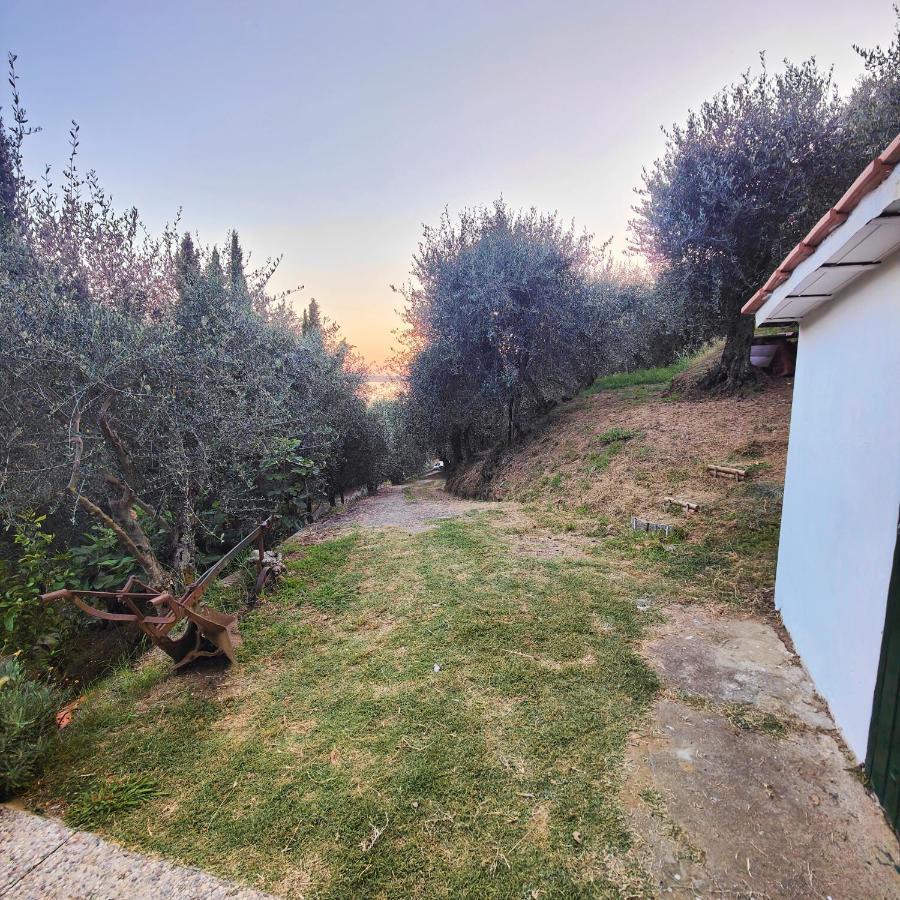 Massaciuccoli Romana 외부 사진