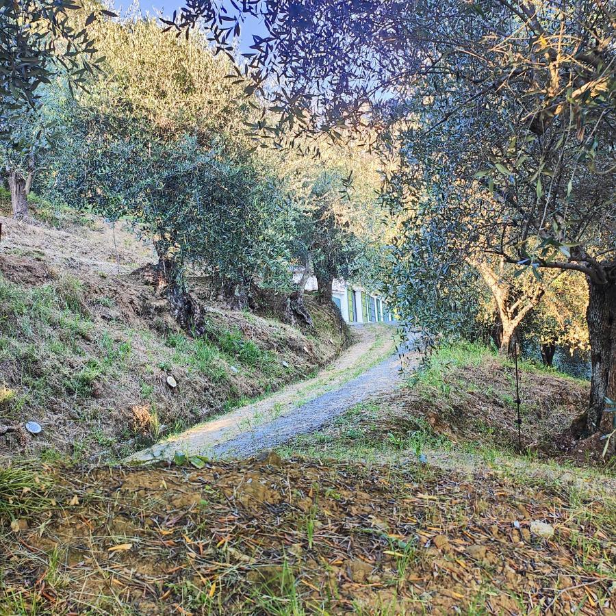 Massaciuccoli Romana 외부 사진