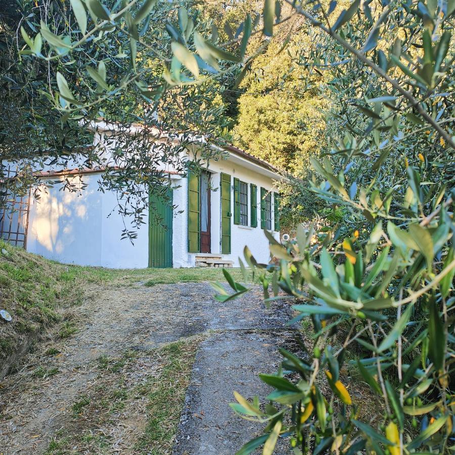 Massaciuccoli Romana 외부 사진