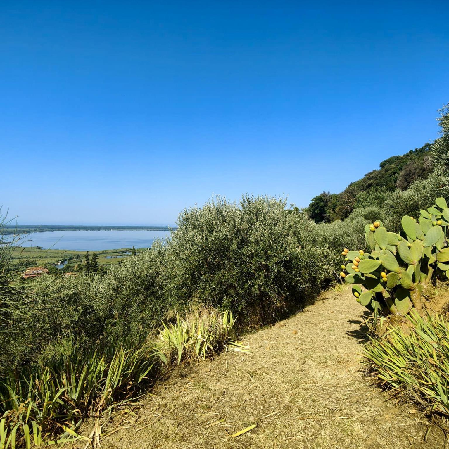 Massaciuccoli Romana 외부 사진