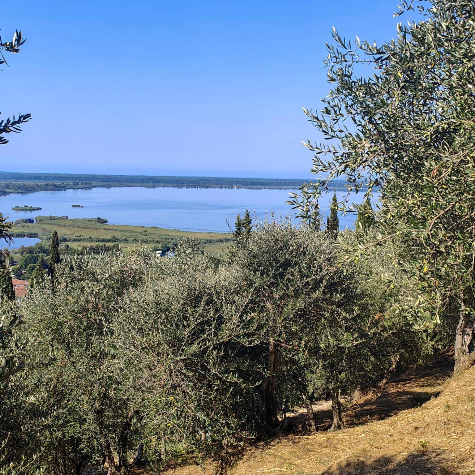 Massaciuccoli Romana 외부 사진
